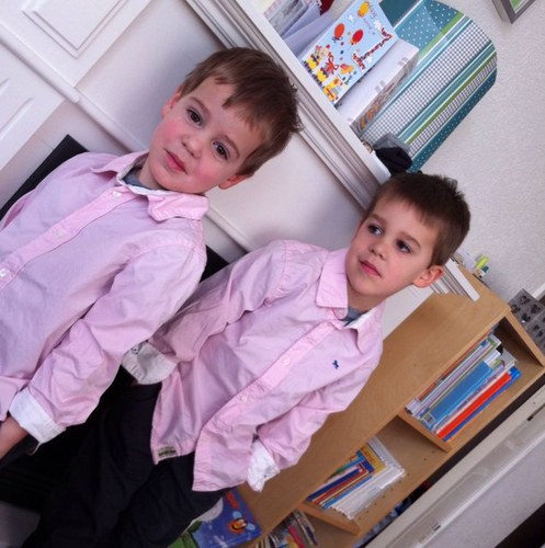 GMMeesters's profile picture. 