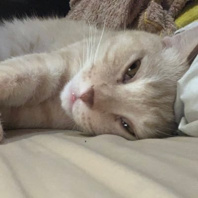 myhuajaiisyours's profile picture. ไม่มีแฟนเก่าเพราะไม่นับความผิดพลาด