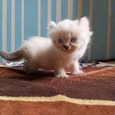 sh7dbdbd57593's profile picture. 