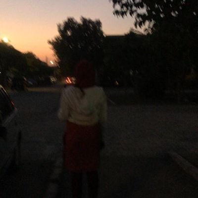 FalakMir13's profile picture. 