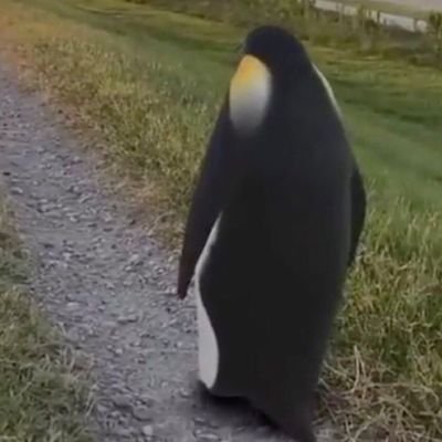 luquita_san's profile picture. O abismo piscou primeiro

🥰💍 @xellenismo