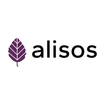 alisosnet Profile Picture