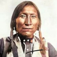 Lone Wolf (Chief Guipago) (@rickadee7) 's Twitter Profile