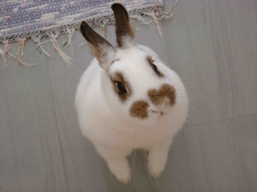 SocialMediaProf's profile picture. work in progress - twitter account tweeting on all developments on social media