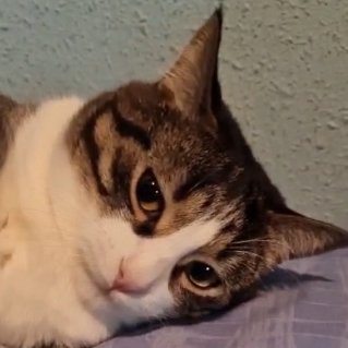 TheMeanPretzel's profile picture. Star Citizen