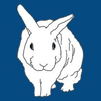 toroさんのプロフィール画像