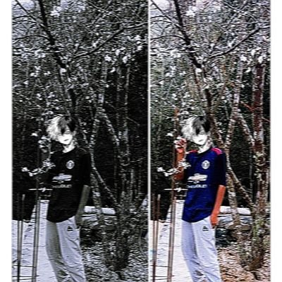 Taolem426855's profile picture. 