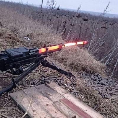 Johnny_Woods___'s profile picture. Female Body Analyst
Behavioral Scientist