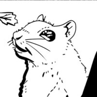 Steady the Squirrel (@steady_squirrel) 's Twitter Profile