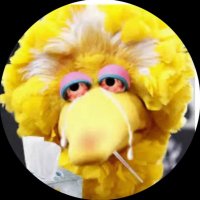 Bigbirdsonly(@BigBirdsOnly) 's Twitter Profile Photo