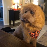 Marty (@13_draft87288) 's Twitter Profile