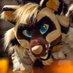 Trash Ferret 👑 (@kingstonracc) Twitter profile photo Trash Ferret 👑 (@kingstonracc) Twitter profile photo