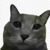 taldofaรงas.clt (@facioli_fish21) Twitter profile photo taldofaรงas.clt (@facioli_fish21) Twitter profile photo