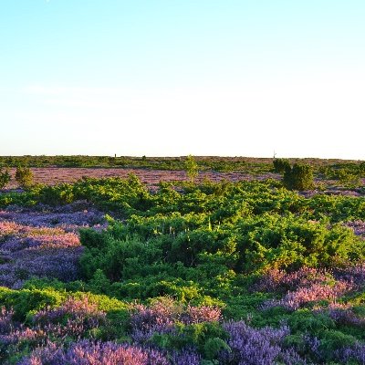 Suomen asialla. EROON EU:sta. tutki. Laitan materiaalia joko saattaa herättää ihmetystä. Hyvä jos alat miettimään. https://t.co/nM4cgdZSpj