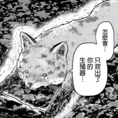 Alkaid131's profile picture. 