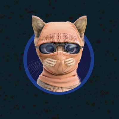 Ski Mask Cat