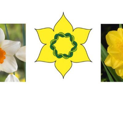 Documenting our journey through the Daffodil DNA project thanks to @royalsociety #partnershipgrants