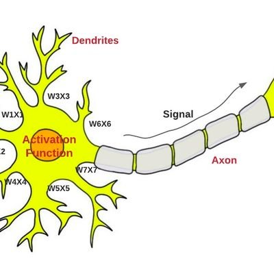 perceptron0's profile picture. 