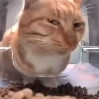 HuyPQuang's profile picture. b3s0