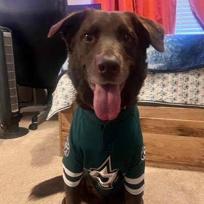 Dog dad to my lovely chocolate lab Remy🐾 Love the Dallas Stars and hockey💚🏒
 #GoStarsGo
Traveler 🧳 Music Lover 🎧🎸