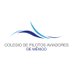Colegio de Pilotos Aviadores de México (@colegiopilotos) Twitter profile photo Colegio de Pilotos Aviadores de México (@colegiopilotos) Twitter profile photo