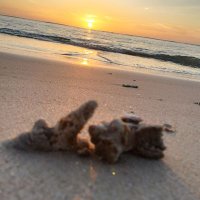 BB Sw (@hlngphradr3875) 's Twitter Profile