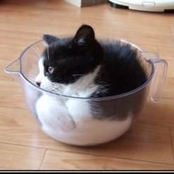 Its a cat stuck in a cup...

3AAznu2dQXBRShxebZFfdXUhnhLir318TMibvNJfAow2

https://t.co/AJY01cE2SL