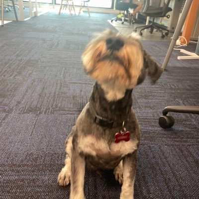 RichardCenter2's profile picture. 