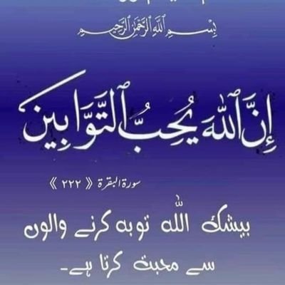 AbshirMoh498501's profile picture. 