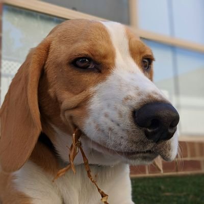 Hey_donel's profile picture. •‘Tort’ure: The feeling of studying for the LawSchool exam.
•Championing the rule of law.#LegalHustle