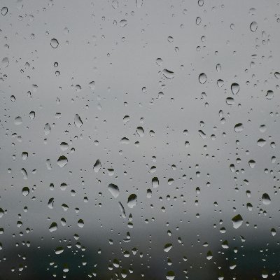 ni_darman's profile picture. Xally