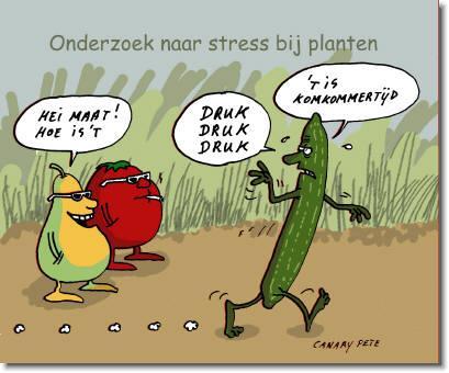 Volg ons, goede. grappen? tweet ze naar ons en misschien krijg je wel een retweet van ons,