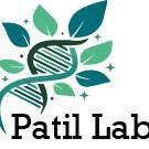 Patil_Lab (@patil_lab_ttu) 's Twitter Profile