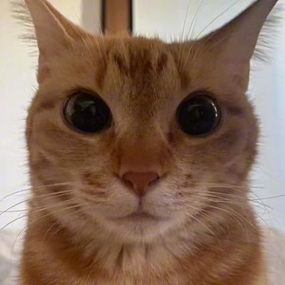 ᕕ( ᐛ )ᕗさんのプロフィール画像