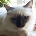 Charlie (@mrcharliebirman) Twitter profile photo Charlie (@mrcharliebirman) Twitter profile photo