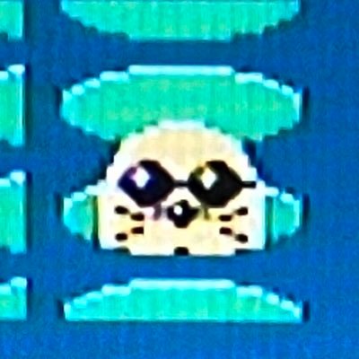 rothkooo's profile picture. nami