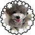âãããã (@kyon_911_1226) Twitter profile photo âãããã (@kyon_911_1226) Twitter profile photo