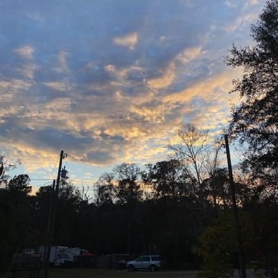 LindaMoore59603's profile picture. 