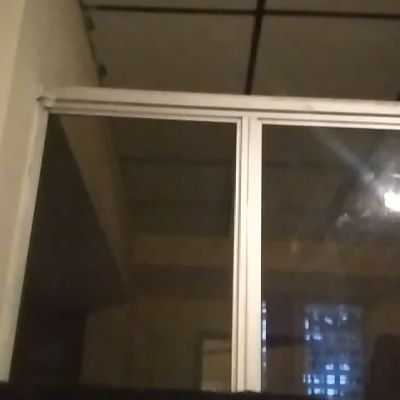Fabrcio1691532's profile picture. 