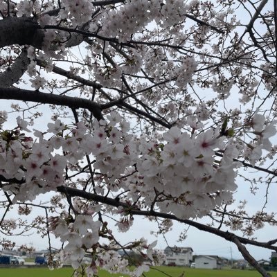 前のアカウントが凍結したので新しいアカウントを
作りました。前のアカウントで迷惑をかけた方々
申し訳ございませんでした。また、よろしくお願いします