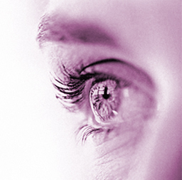 lilan16's profile picture. 