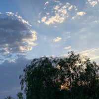 Lama (@alma_q0) Twitter profile photo