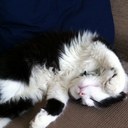 Beth Halliday - @beth_nancy - Twitter