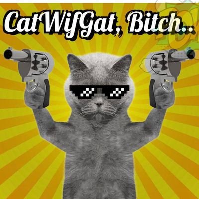 $CATWIFGAT ON BASE || I'm a cat with a gat, no time for sittin' on a mat. On a mission, form a coalition, official Telegram:https://t.co/52kfUP9az3 📌
