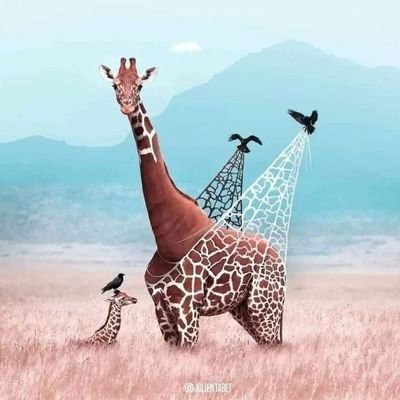 Do not feel lonely, The entire universe is inside you! Rumi.
💜🤍🦒Giraffes  - 🌷 Tulips - 👼 Angels - Hummingbirds -  🐺 Wolves -🐧Penguins - 🟣 Purple🤍💜