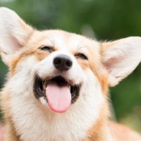 ジョン@京都の舐め犬🐶 (@kyoto_dog_jhon) 's Twitter Profile Photo ジョン@京都の舐め犬🐶 (@kyoto_dog_jhon) 's Twitter Profile Photo