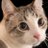Vinh Truong 🕹️ $RCADE 🐉 $MON's Twitter (X) avatar