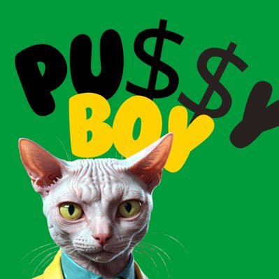 Pu$$y Boy. This cat smashes $PUSS with @9inch_io - Cat memecoin on #9inch DEX. #Pulsechain