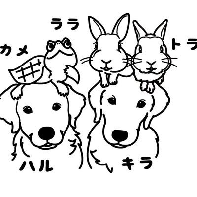 🐶春ハル♀2013.7.29.11th26.5kg
🐶光キラ♀2019.12.19.5th35.5kg
🐰音ララ♀14th🌈
🐰虎トラ♂2022.5.19.2th
🐰琉ルイ♂2021.05.31.3th