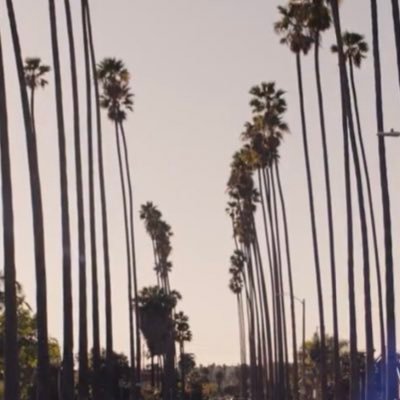joeyleon674's profile picture. 